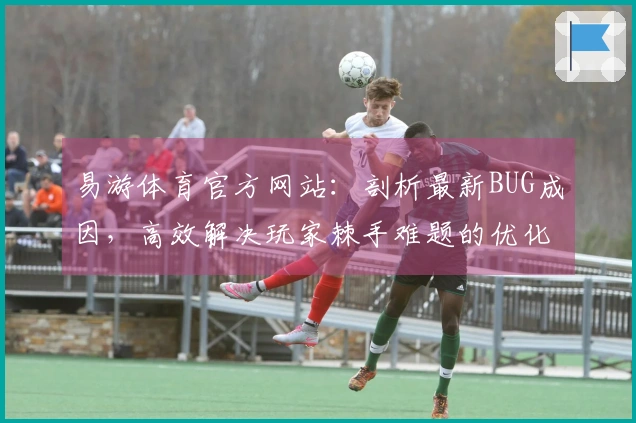 易游体育官方网站：剖析最新BUG成因，高效解决玩家棘手难题的优化之道