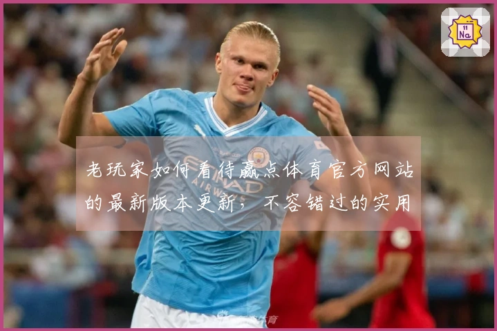 老玩家如何看待赢点体育官方网站的最新版本更新，不容错过的实用体验分享