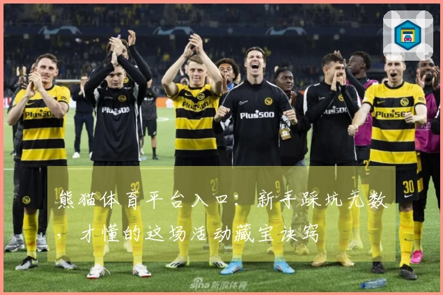 熊猫体育平台入口：新手踩坑无数，才懂的这场活动藏宝诀窍